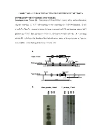 Supplementary Figure S1. Generation of Floxed Nphs2 Exon 2 Allele and Confirmation