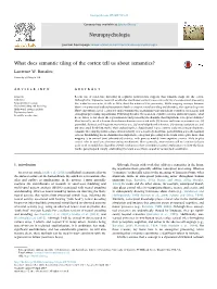 What Does Semantic Tiling of the Cortex Tell Us About Semantics? MARK ⁎ Lawrence W