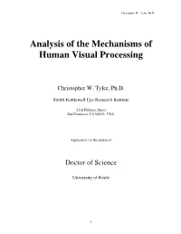 Analysis of the Mechanisms of Human Visual Processing