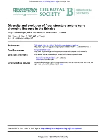 Diverging Lineages in the Ericales Diversity and Evolution of Floral