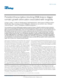 Persistent Transcription-Blocking DNA Lesions Trigger Somatic Growth Attenuation Associated with Longevity