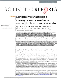 Comparative Synaptosome Imaging: a Semi-Quantitative Method to Obtain