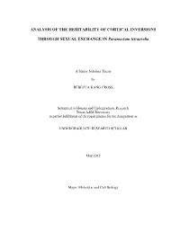 Cross.Corrected.Pdf (1.066Mb)