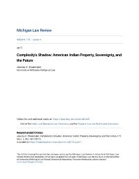 Complexity's Shadow: American Indian Property, Sovereignty, and the Future