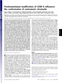 Posttranslational Modification of CENP-A Influences The