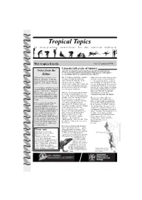 Wet Tropics Lizards No