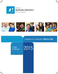 A Year in Review 2015 a Year in Review