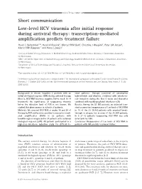 AVT Figure Template