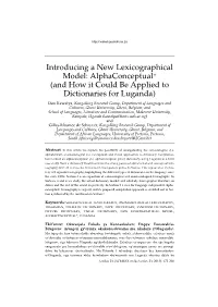 Introducing a New Lexicographical Model: Alphaconceptual+