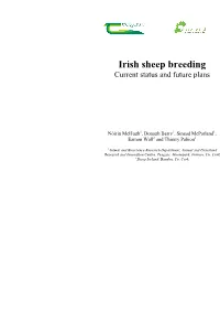 Irish Sheep Breeding Current Status and Future Plans
