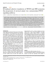 E6-Induced Selective Translation of WNT4 and JIP2 Promotes the Progression of Cervical Cancer Via a Noncanonical WNT Signaling Pathway