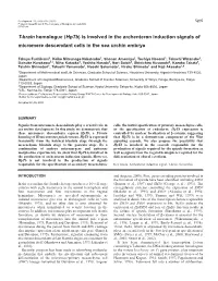 T-Brain Regulates Archenteron Induction Signal 5207 Range of Ampliﬁcation