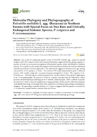 Molecular Phylogeny and Phylogeography of Potentilla Multiﬁda L