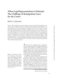 The Challenge of Immigration Cases for the Courts