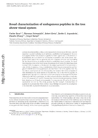 Broad Characterization of Endogenous Peptides in the Tree Shrew Visual System