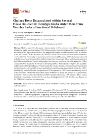 Cholera Toxin Encapsulated Within Several Vibrio Cholerae O1 Serotype Inaba Outer Membrane Vesicles Lacks a Functional B-Subunit
