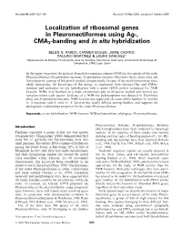 Localization of Ribosomal Genes in Pleuronectiformes Using Ag-, CMA3-Banding and in Situ Hybridization