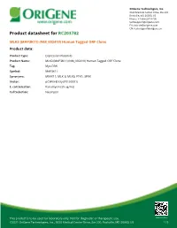 MLK3 (MAP3K11) (NM 002419) Human Tagged ORF Clone Product Data