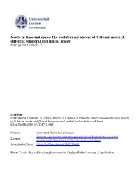 Phd Thesis Themudo