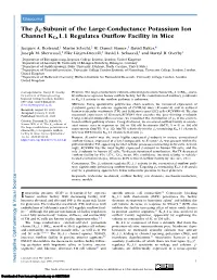 The Β4-Subunit of the Large-Conductance Potassium Ion Channel Kca1.1 Regulates Outflow Facility in Mice