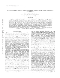 A Large Sky Simulation of the Gravitational Lensing of the Cosmic