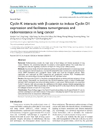 Cyclin K Interacts with Β-Catenin to Induce Cyclin D1 Expression And