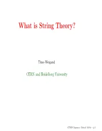 What Is String Theory?