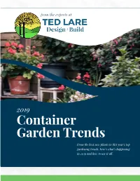 2019 Container Garden Trends