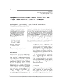 Lymphovenous Anastomoses Between Thoracic Duct and Azygos Vein in a Human Cadaver: a Case Report