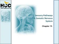 Sensory Pathways & Somatic Nervous System