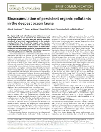 Bioaccumulation of Persistent Organic Pollutants in the Deepest Ocean Fauna