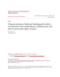 Characterization of Substrate Binding and Catalytic Mechanisms of An