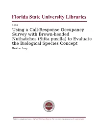 Florida State University Libraries