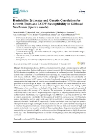 Heritability Estimates and Genetic Correlation for Growth Traits and LCDV Susceptibility in Gilthead Sea Bream (Sparus Aurata)