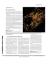 Of Caveosomes
