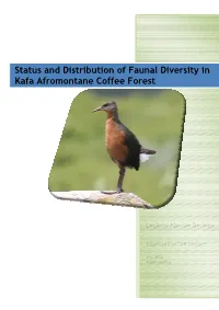 Status and Distribution of Faunal Diversity in Kafa Afromontane Coffee Forest