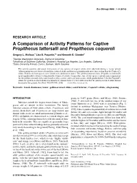A Comparison of Activity Patterns for Captive Propithecus Tattersalli and Propithecus Coquereli
