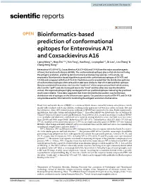 Bioinformatics-Based Prediction of Conformational Epitopes for Enterovirus A71 and Coxsackievirus