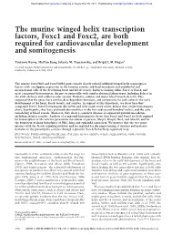 The Murine Winged Helix Transcription Factors, Foxc1 and Foxc2, Are Both Required for Cardiovascular Development and Somitogenesis