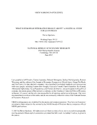 What Is European Integration Really About? a Political Guide for Economists