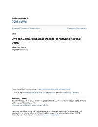 Q-Ve-Oph, a Control Caspase Inhibitor for Analyzing Neuronal Death