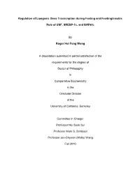 Role of USF, SREBP-1C, and Baf60c by Roger Hoi Fu