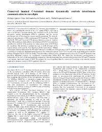 Conserved Luminal C-Terminal Domain Dynamically Controls Interdomain Communication in Sarcolipin