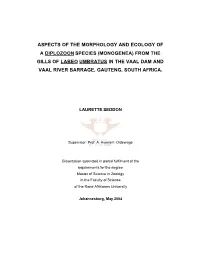 Full and FINAL MASTERS DISCERTATION