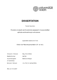 Phd-Thesis Gernot Walko Final Version