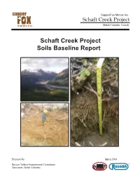 Schaft Creek Project Soils Baseline Report