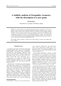A Cladistic Analysis of Zoropsidae (Araneae), with the Description of a New Genus