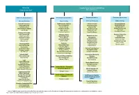 Central Bank Organogram Showing Management Structure of Key