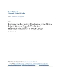 Exploring the Regulatory Mechanism of the Notch Ligand Receptor Jagged1 Via the Aryl Hydrocarbon Receptor in Breast Cancer Sean Alan Piwarski