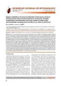 Spatial Variability in the Level of Infestation of the Leaves of Horse